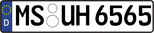 MS-UH6565