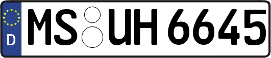 MS-UH6645