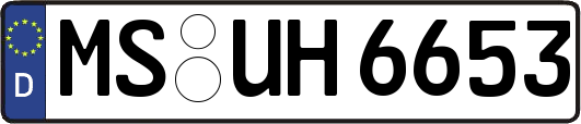 MS-UH6653