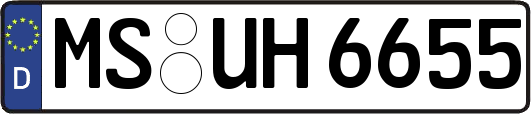 MS-UH6655
