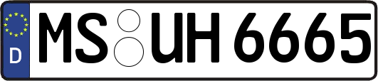 MS-UH6665