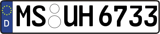 MS-UH6733