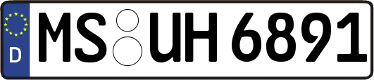 MS-UH6891