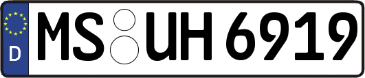 MS-UH6919