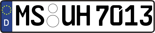 MS-UH7013