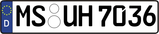 MS-UH7036