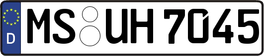 MS-UH7045