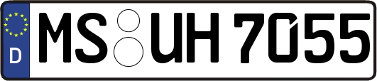 MS-UH7055