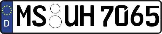 MS-UH7065