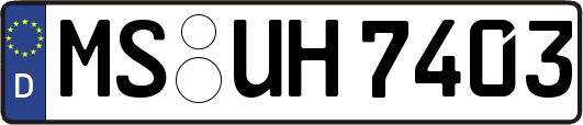 MS-UH7403