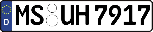 MS-UH7917