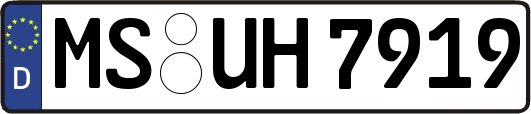 MS-UH7919