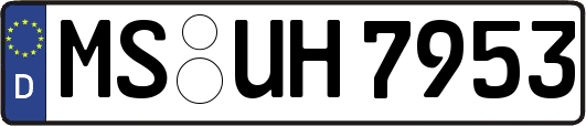 MS-UH7953