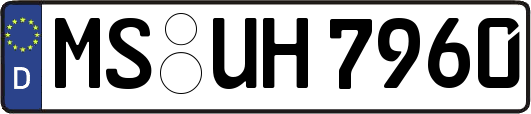 MS-UH7960