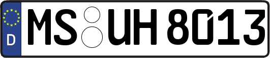 MS-UH8013