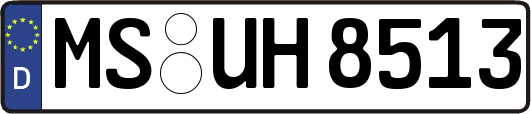 MS-UH8513