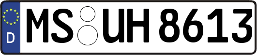 MS-UH8613