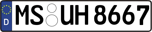 MS-UH8667