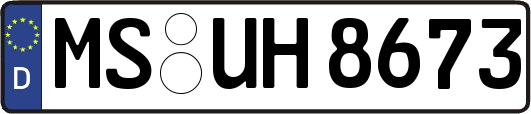 MS-UH8673