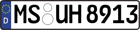 MS-UH8913