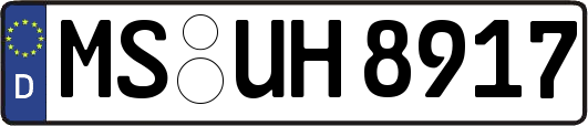 MS-UH8917