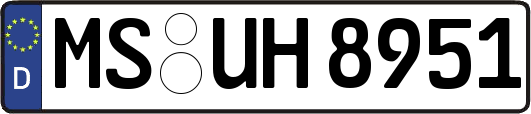 MS-UH8951
