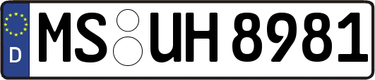 MS-UH8981