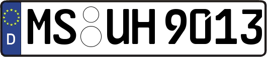 MS-UH9013