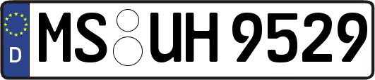 MS-UH9529