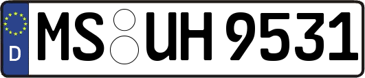 MS-UH9531