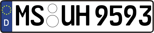 MS-UH9593