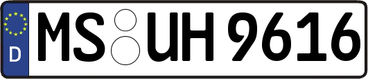 MS-UH9616