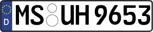 MS-UH9653
