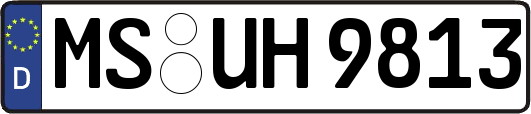 MS-UH9813