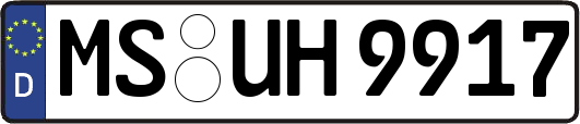 MS-UH9917