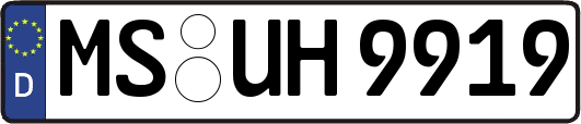 MS-UH9919