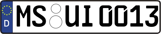 MS-UI0013