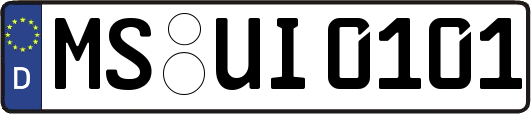 MS-UI0101