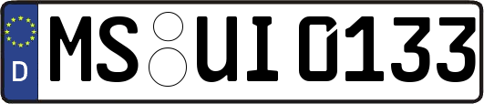 MS-UI0133