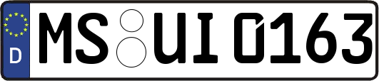 MS-UI0163