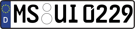 MS-UI0229