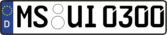 MS-UI0300