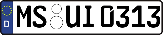 MS-UI0313