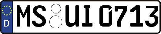 MS-UI0713