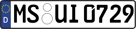 MS-UI0729