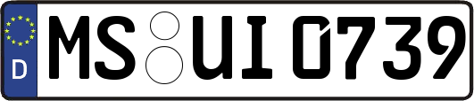 MS-UI0739