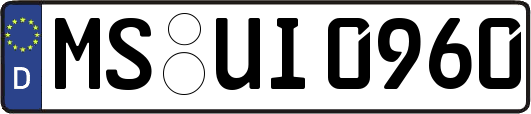 MS-UI0960