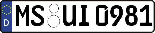 MS-UI0981