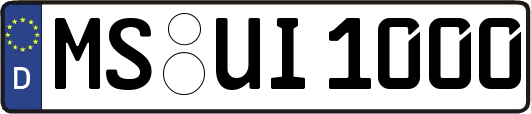 MS-UI1000