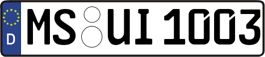 MS-UI1003